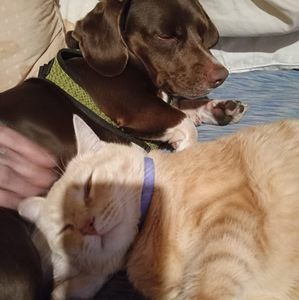 Meet your Posher, Doris